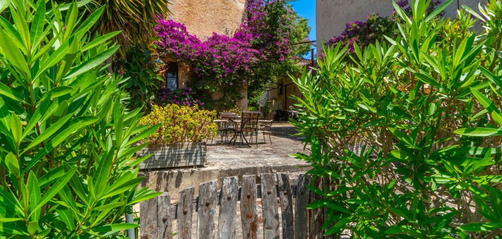 Rural Villa Son Favar