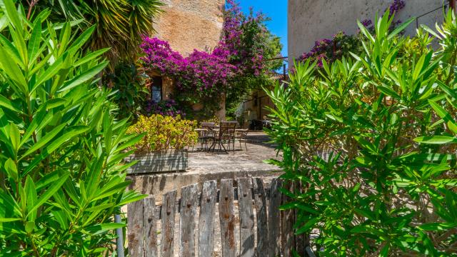 Rural Villa Son Favar
