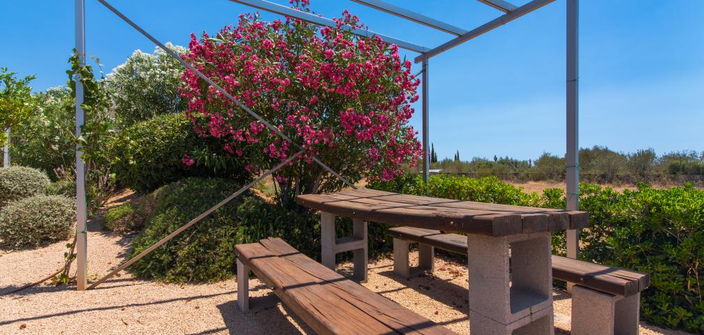 Rural Villa Can Cariño