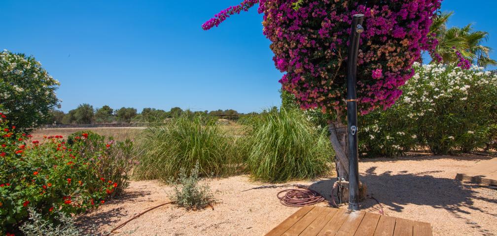 Rural Villa Can Cariño