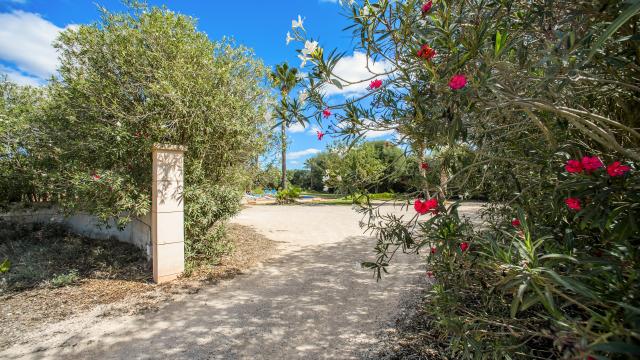 Rural Villa La Vinya