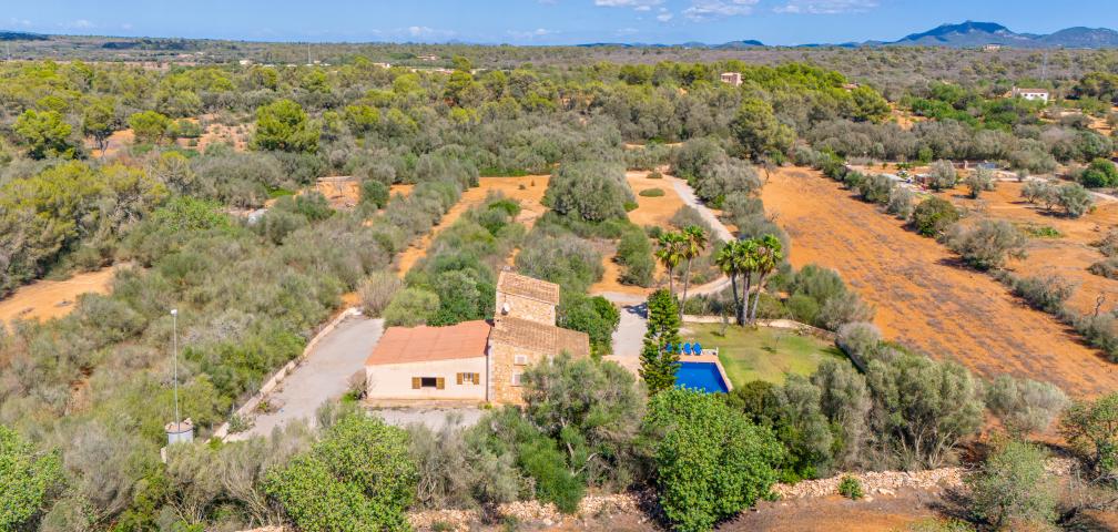 Rural Villa Can Toni