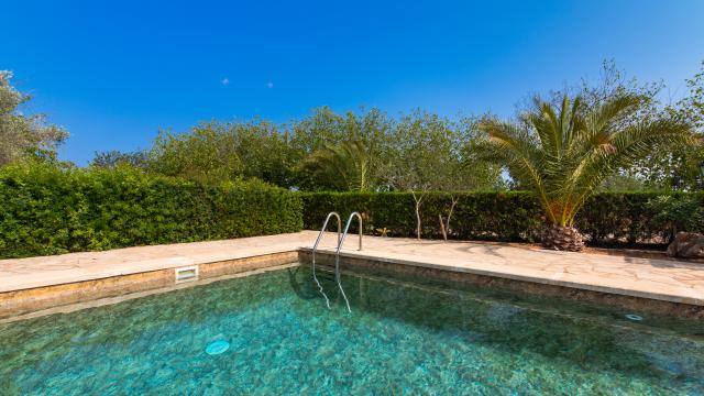 Rural Villa Son Viquet