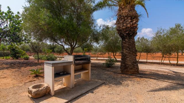 Rural Villa Son Viquet