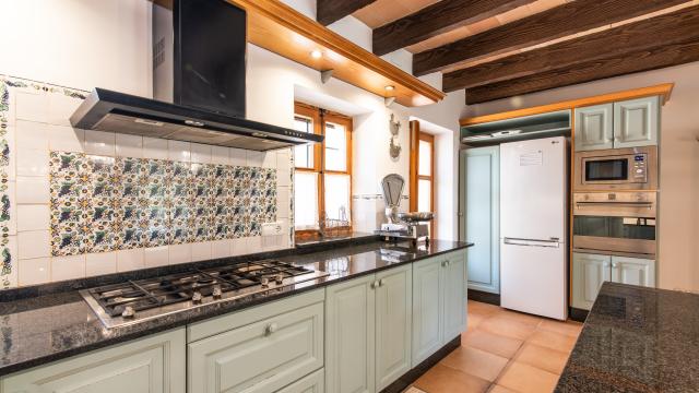 Rural Villa Son Viquet