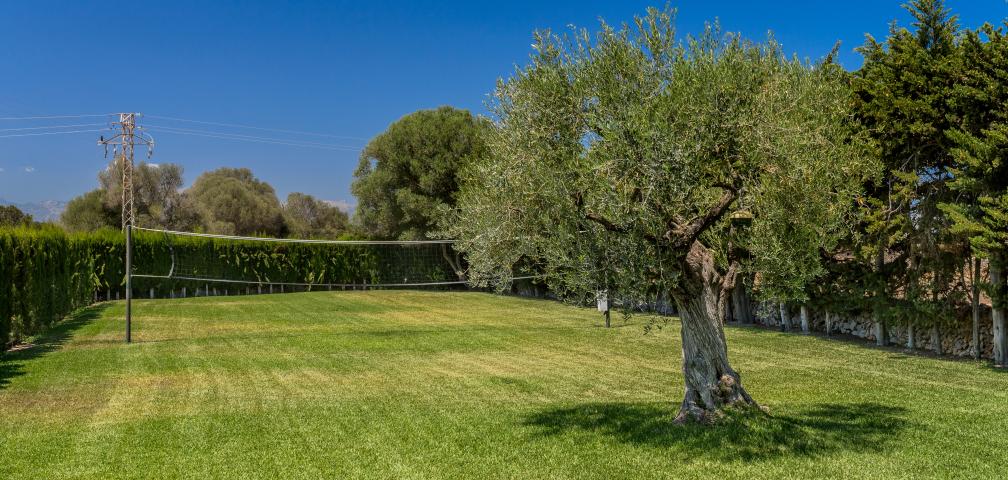 Rural Villa Can Maties