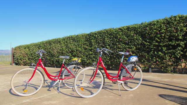 Rural Villa Son Vent