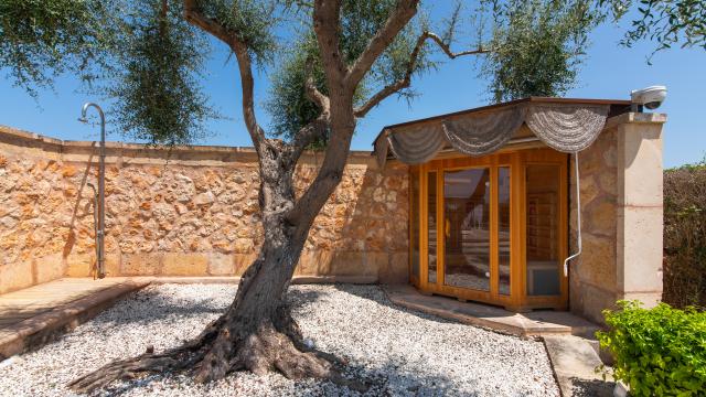 Rural Villa Es Boscarro