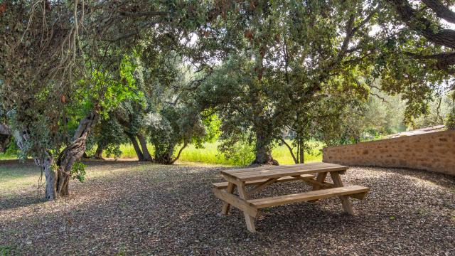 Rural Villa Son Punta