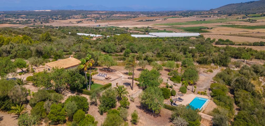 Rural Villa Son Sellart